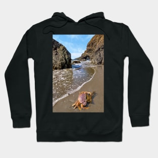 Crab in the Wrong Place Hoodie